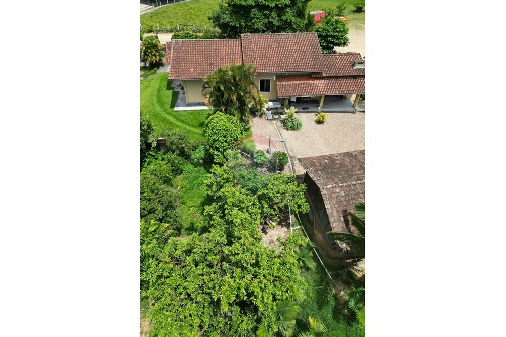 Terreno - Venda - Indaial , Santa Catarina - IMG_0260.jpeg - 590301007-66