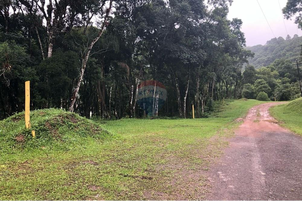 Terreno - Venda - Rio dos Cedros , Santa Catarina - FOTO 04 LOTES PIQUETES - .JPG - 590211051-14