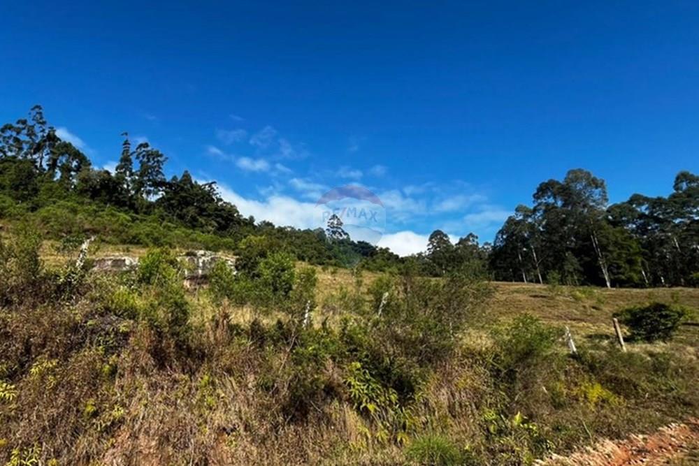 Terreno - Venda - Sombrio , Santa Catarina - WhatsApp Image 2025-06-11 at 17.25.47 (2).jpeg - 590491002-67