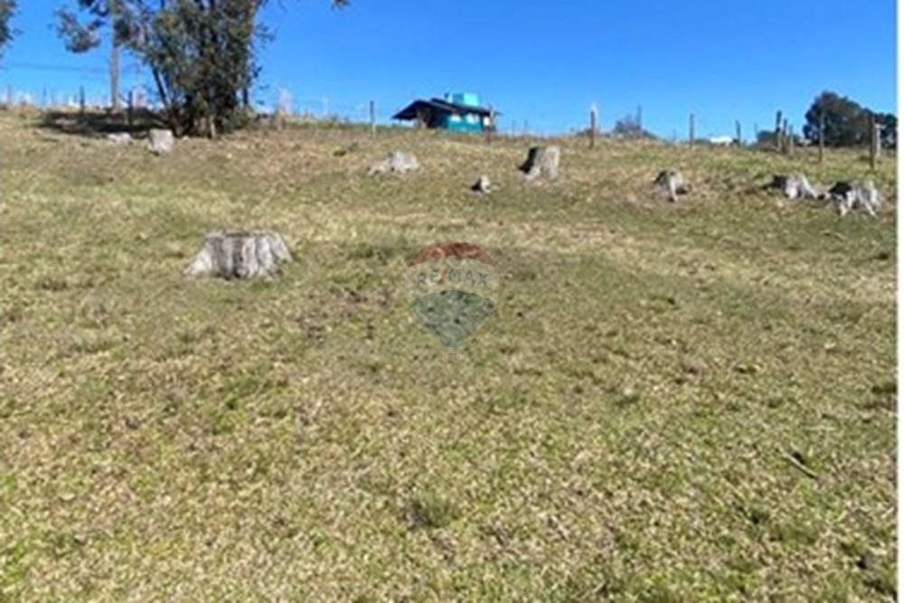 Terreno - Venda - Lages , Santa Catarina - ad5cad6b-96e2-47c9-8c5d-d22813ef05ca.jpg - 590071041-43