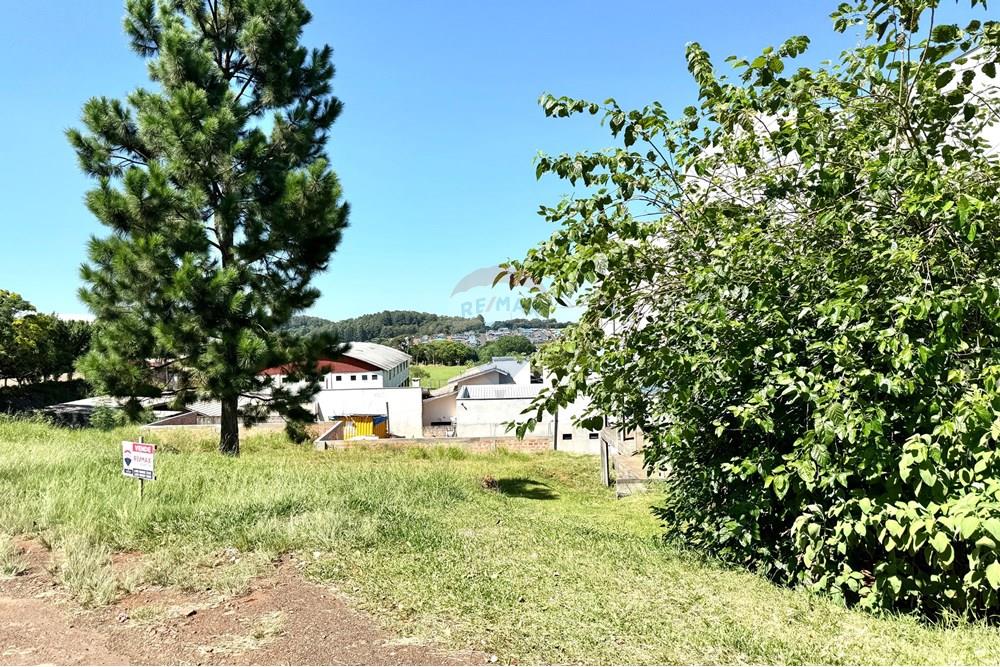 Terreno - Venda - Xaxim , Santa Catarina - IMG_7611.jpg - 590421002-171