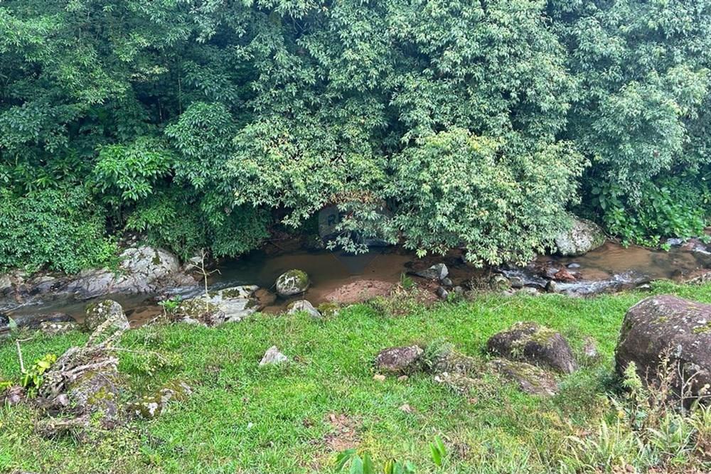 Terreno - Venda - Rio dos Cedros , Santa Catarina - 8b339bdc-14e1-40b9-8db3-0d3ee5ab1e66.jpeg - 590211035-43