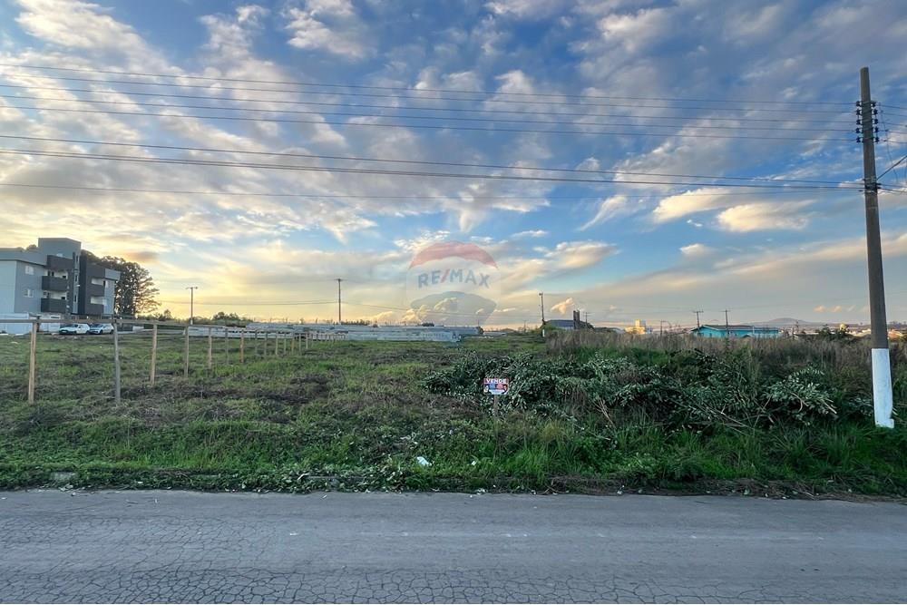 Terreno - Venda - Lages , Santa Catarina - WhatsApp Image 2025-06-09 at 13.52.51.jpeg - 590071009-103