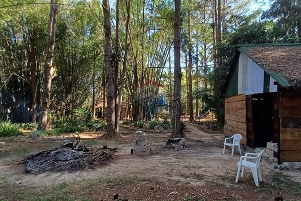 Terreno - Venda - Florianópolis , Santa Catarina - PHOTO-2025-05-15-17-03-27 (2).jpg - 590101001-59