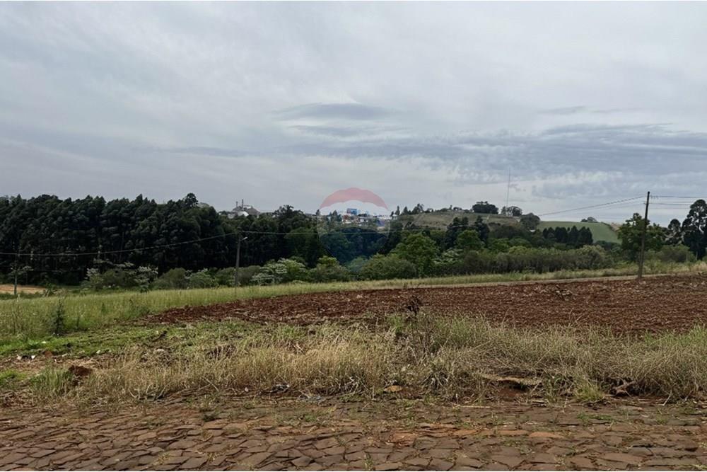 Terreno - Venda - Xaxim , Santa Catarina - Gemini_Generated_Image_lhkb8xlhkb8xlhkb.jpg - 590421001-251