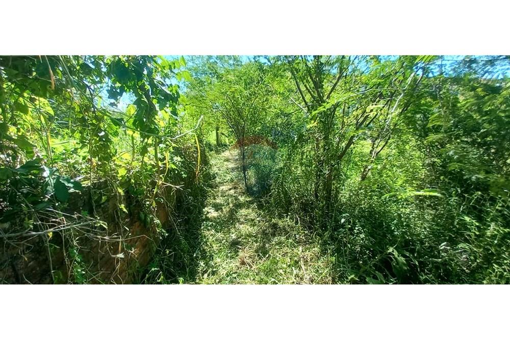 Terreno - Venda - Timbó , Santa Catarina - WhatsApp Image 2025-03-20 at 13.39.26 (3).jpeg - 590211033-46