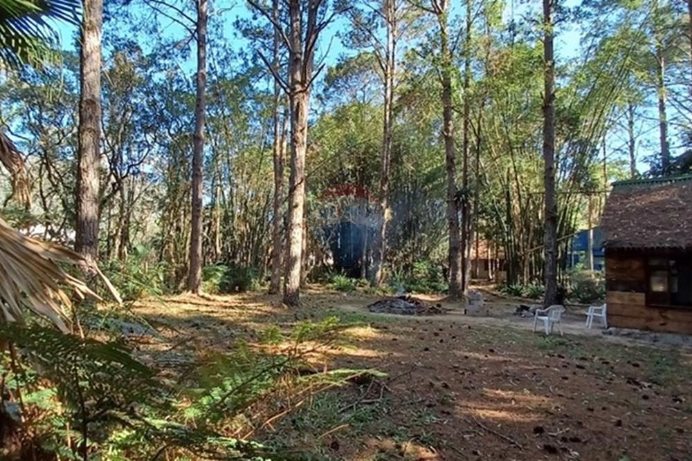 Terreno - Venda - Florianópolis , Santa Catarina - PHOTO-2025-05-15-17-03-20 (4).jpg - 590101001-59