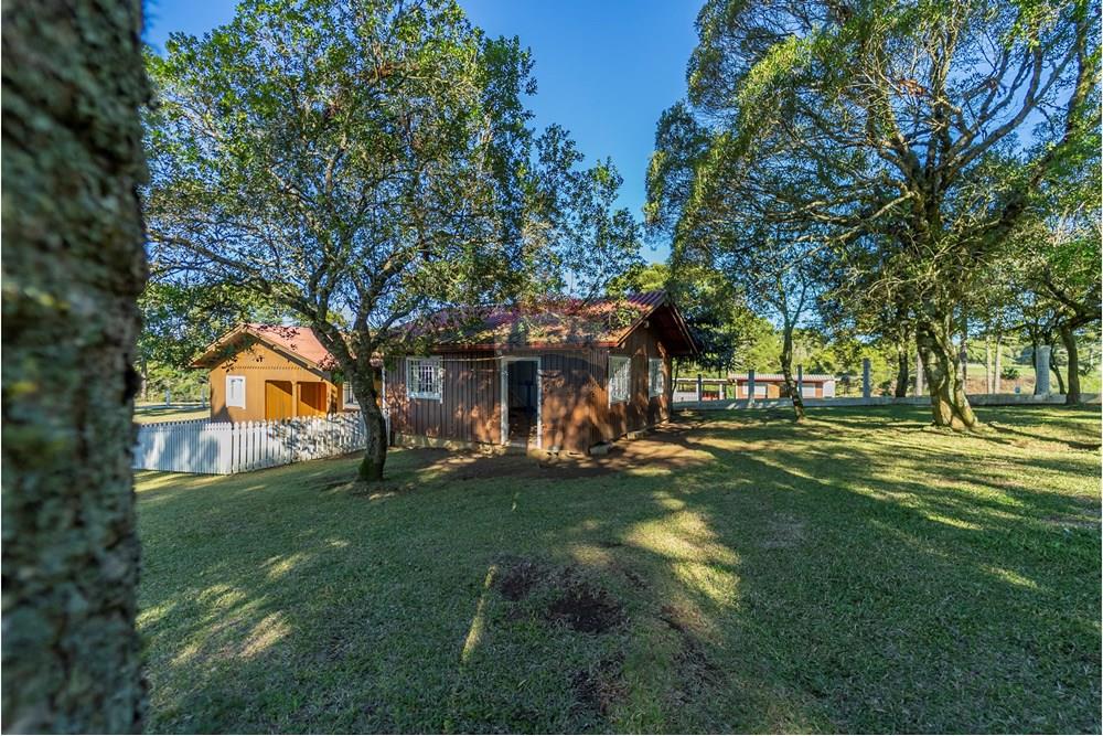 Chácara / Sítio / Fazenda - Venda - Capão Alto , Santa Catarina - DSC03811.jpg - 590071002-440