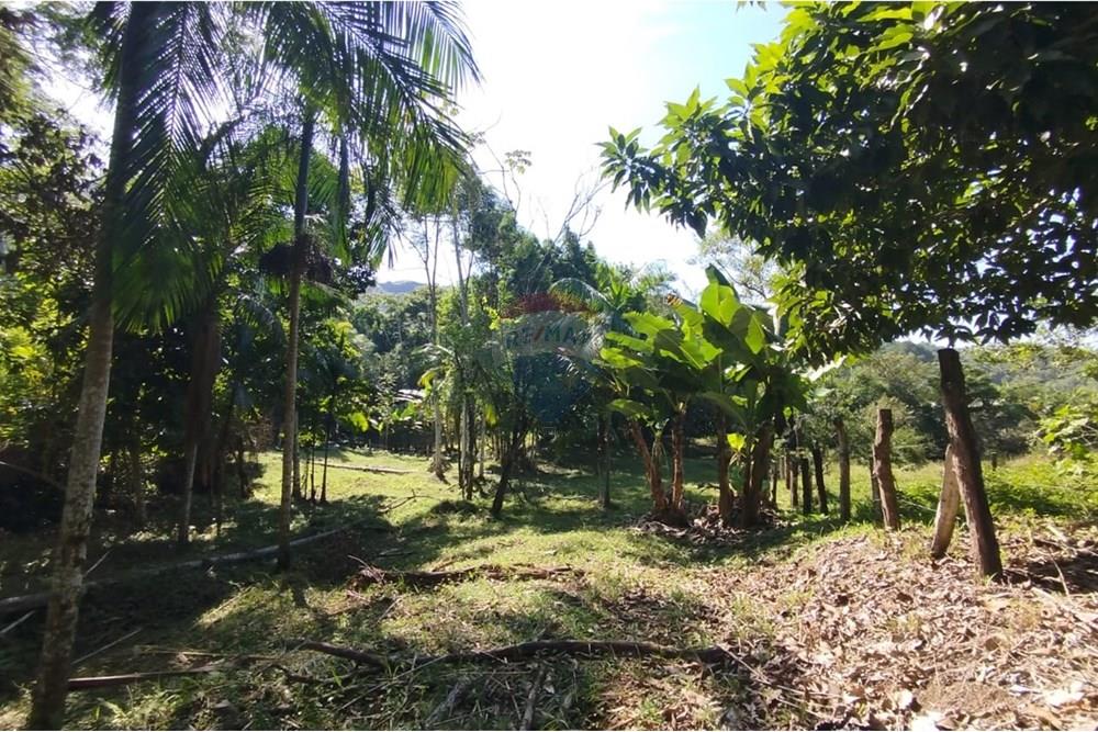 Chácara / Sítio / Fazenda - Venda - Indaial , Santa Catarina - WhatsApp Image 2025-04-23 at 14.50.07.jpeg - 590301044-30