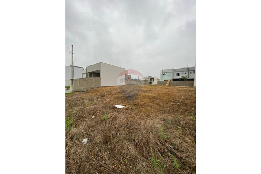 Terreno - Venda - Jaraguá do Sul , Santa Catarina - WhatsApp Image 2025-06-02 at 15.02.29 (11).jpeg - 590451031-3