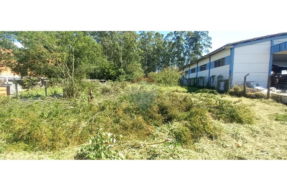 Terreno - Venda - Timbó , Santa Catarina - WhatsApp Image 2025-03-20 at 13.39.20 (4).jpeg - 590211033-46