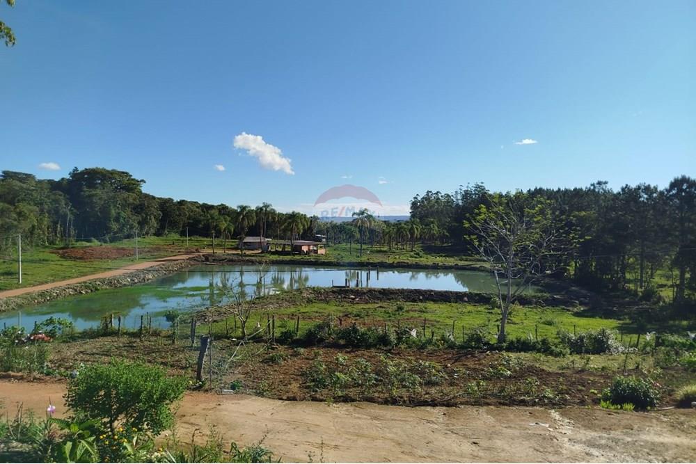 Chácara / Sítio / Fazenda - Venda - Benedito Novo , Santa Catarina - IMG-20241028-WA0373.jpg - 590301027-92