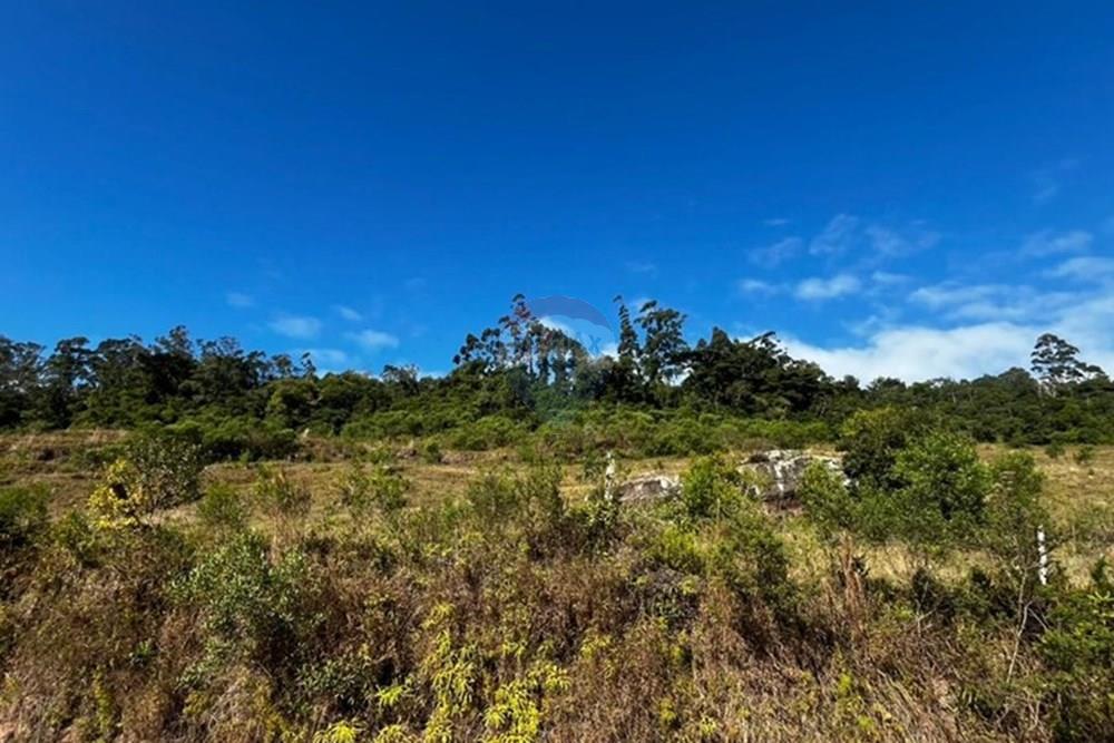 Terreno - Venda - Sombrio , Santa Catarina - WhatsApp Image 2025-06-11 at 17.25.48 (2).jpeg - 590491002-67