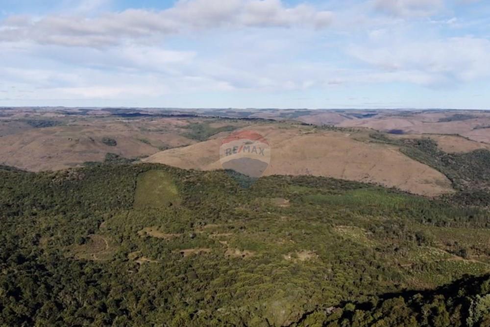 Chácara / Sítio / Fazenda - Venda - Capão Alto , Santa Catarina - WhatsApp Image 2025-07-16 at 2.09.04 PM (4).jpeg - 590071044-10