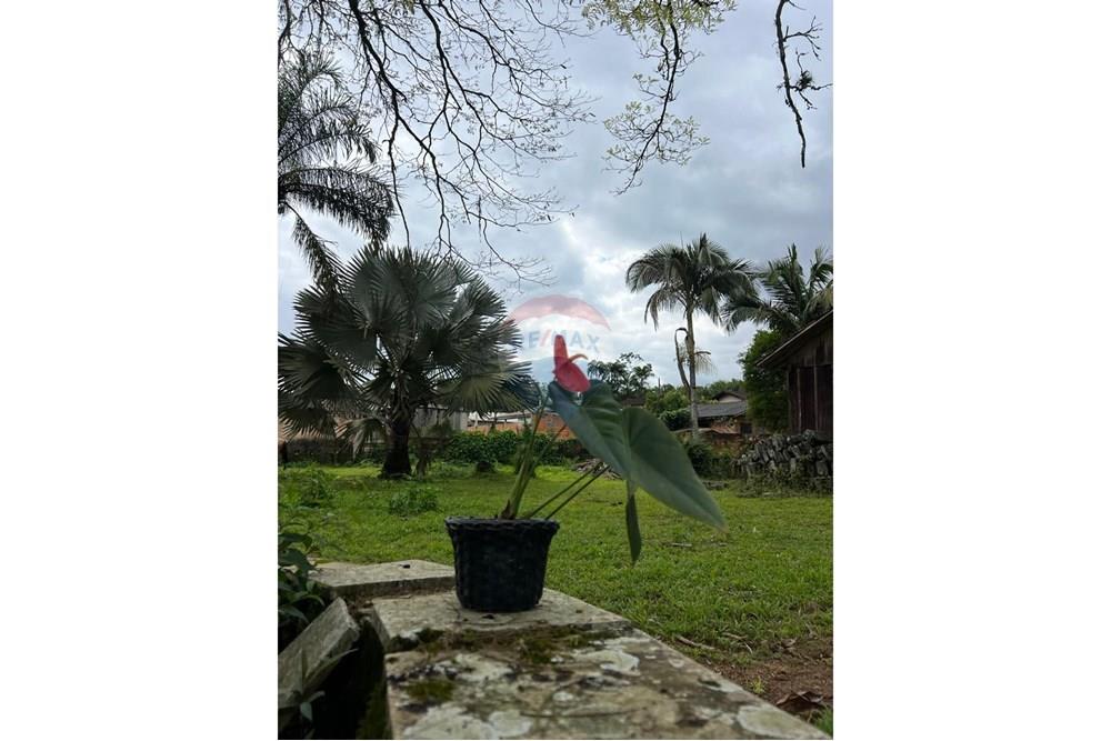 Chácara / Sítio / Fazenda - Venda - Jaraguá do Sul , Santa Catarina - WhatsApp Image 2025-09-16 at 09.24.50 (8).jpeg - 590451031-26