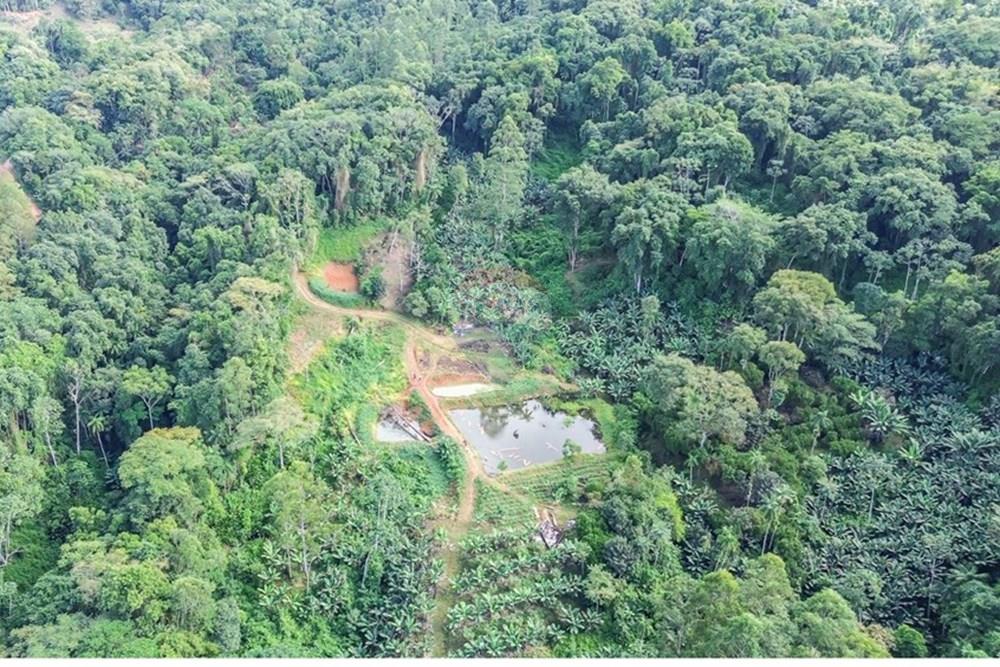 Terreno - Venda - Timbó , Santa Catarina - FOTO PRO 04 - .JPG - 590211051-24