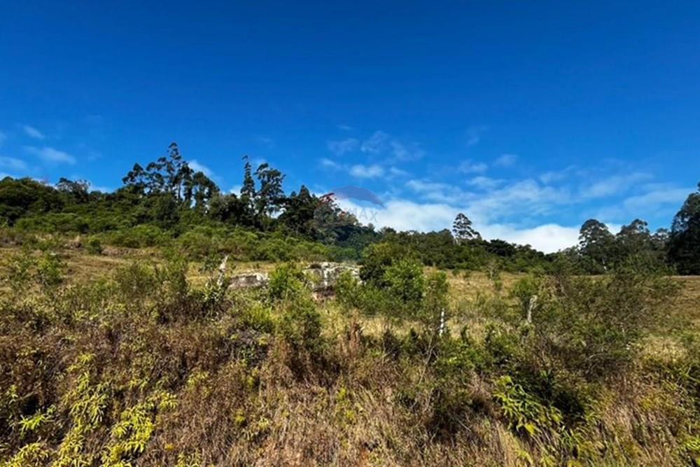 Terreno - Venda - Sombrio , Santa Catarina - WhatsApp Image 2025-06-11 at 17.25.47 (3).jpeg - 590491002-67