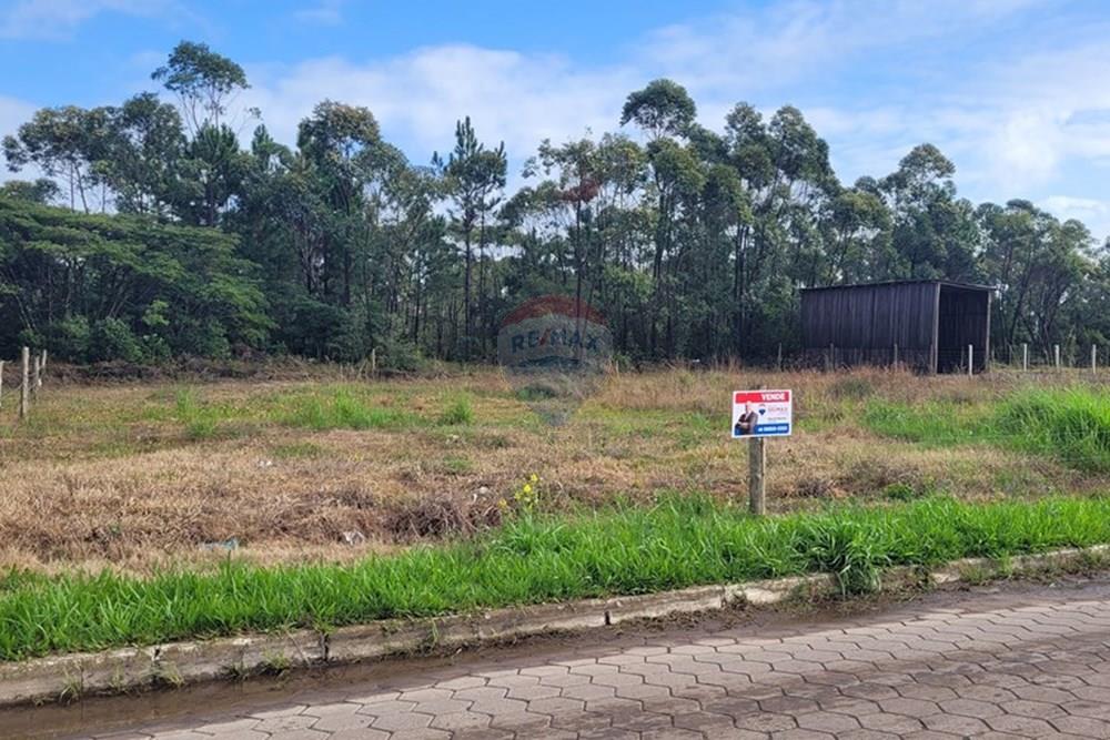 Terreno - Venda - Balneário Gaivota , Santa Catarina - 20250411_085516.jpg - 590491002-30