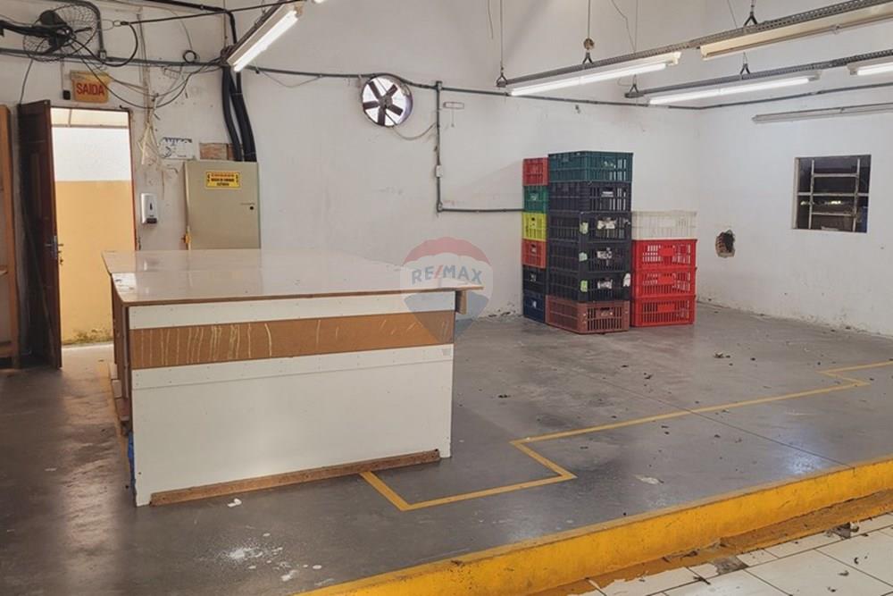 Galpão - Alugar - Sombrio , Santa Catarina - 20250423_091509.jpg - 590491002-31