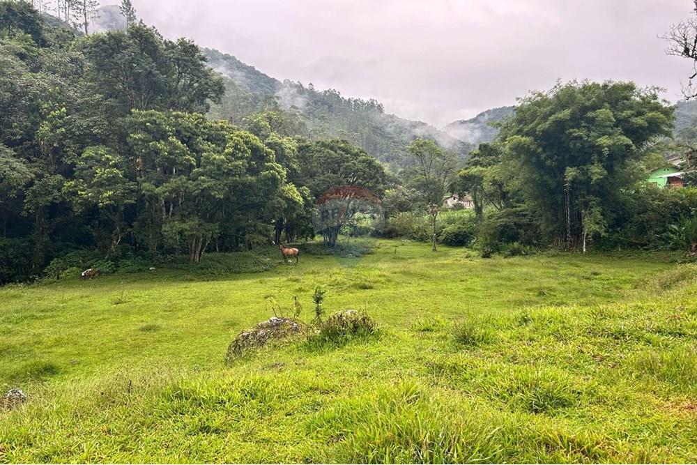 Terreno - Venda - Rio dos Cedros , Santa Catarina - 9e1824b1-de50-494d-a247-b65b4b27713f.jpeg - 590211035-43