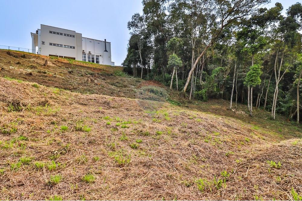 Terreno - Venda - Timbó , Santa Catarina - 3.jpg - 590211007-101