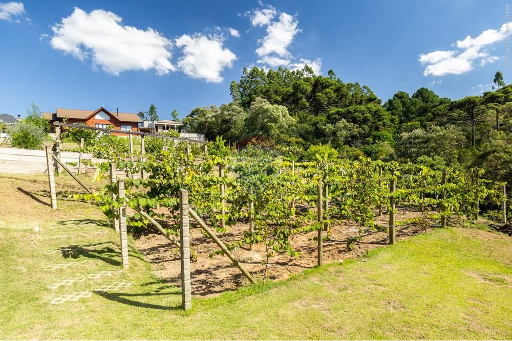 Casa - Venda - Lages , Santa Catarina - 0021 25-03-21 Casa Vila das Comunmbeas.JPG - 590071002-308