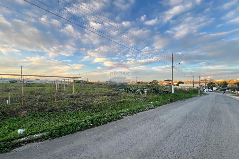 Terreno - Venda - Lages , Santa Catarina - WhatsApp Image 2025-06-09 at 13.52.58.jpeg - 590071009-103