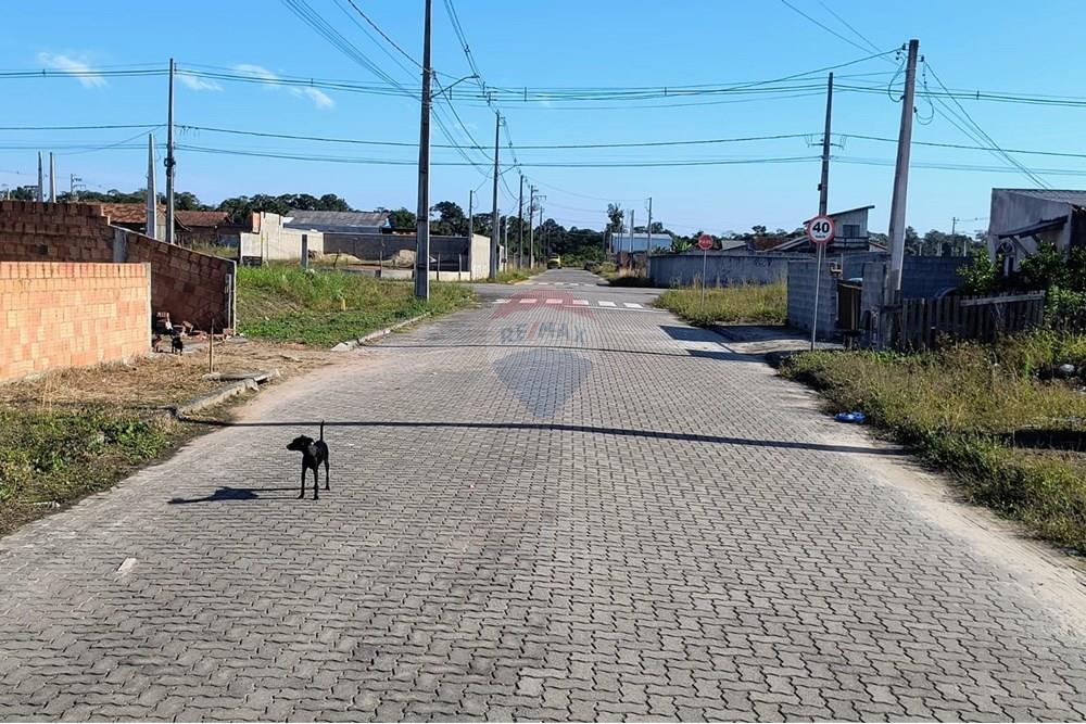 Terreno - Venda - Araquari , Santa Catarina - WhatsApp Image 2025-06-17 at 15.01.52 (2).jpeg - 590501001-117