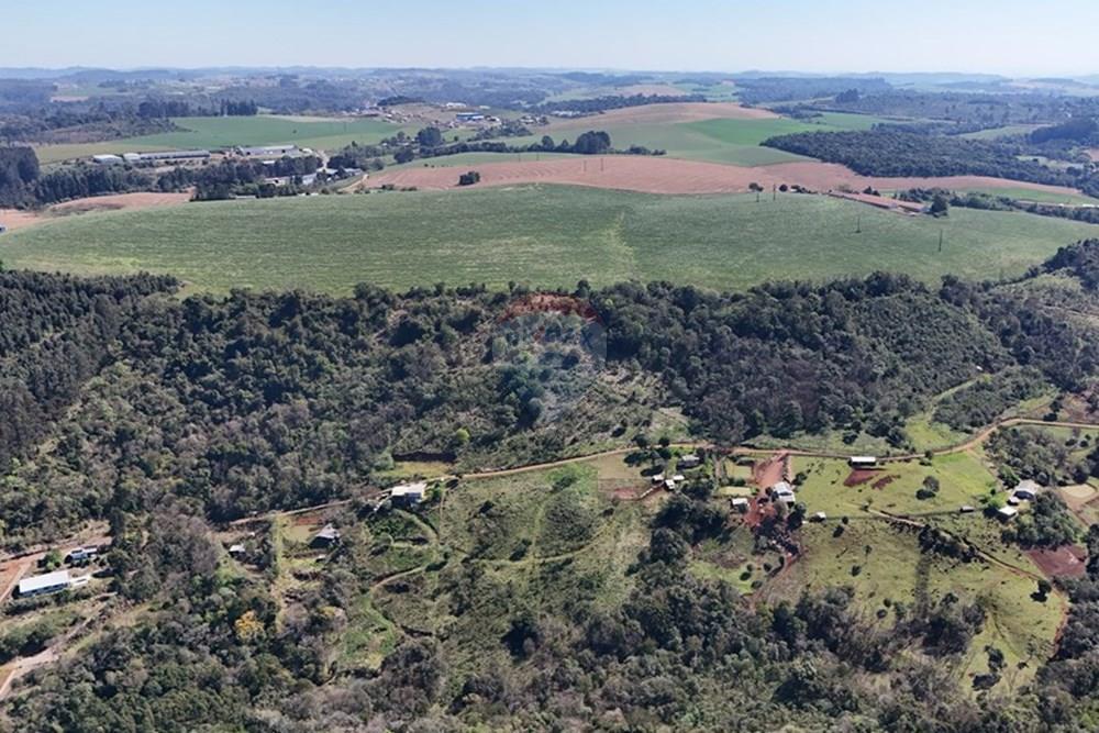 Chácara / Sítio / Fazenda - Venda - Xaxim , Santa Catarina - DJI_20250912143906_0159_D.JPG - 590421017-6