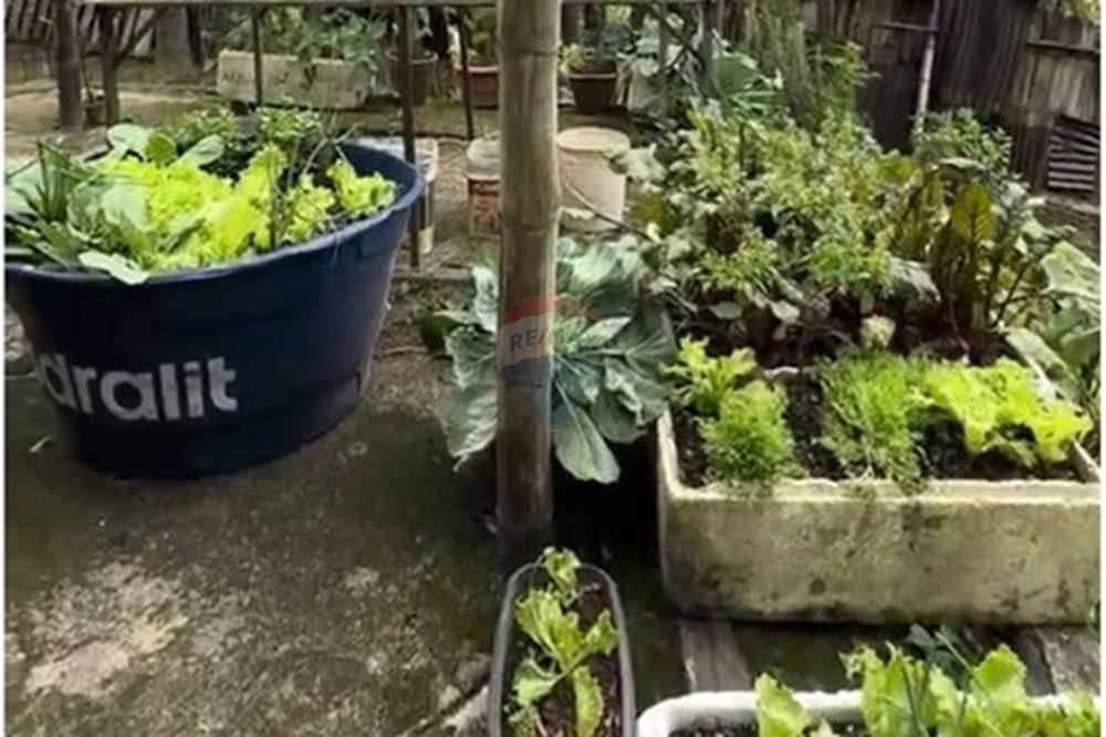 Terreno - Venda - Gravatal , Santa Catarina - WhatsApp Image 2025-10-20 at 17.32.56 (1).jpeg - 590461027-11