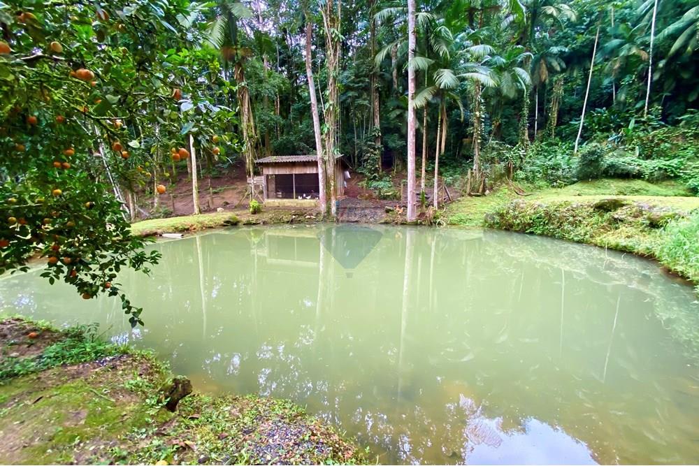 Chácara Serenidade em Centro, Pomerode à Venda! — foto 3