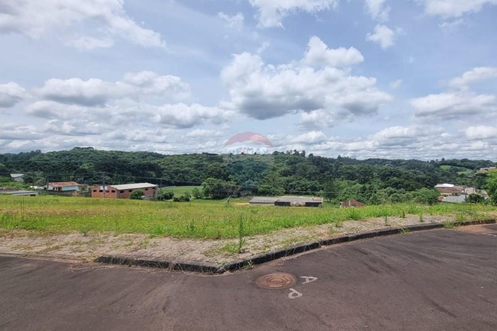 Terreno - Venda - Campo Largo , Paraná - 33a47ed0-e48a-4452-a5ca-73ed5b1b625a (1).JPG - 590481021-29