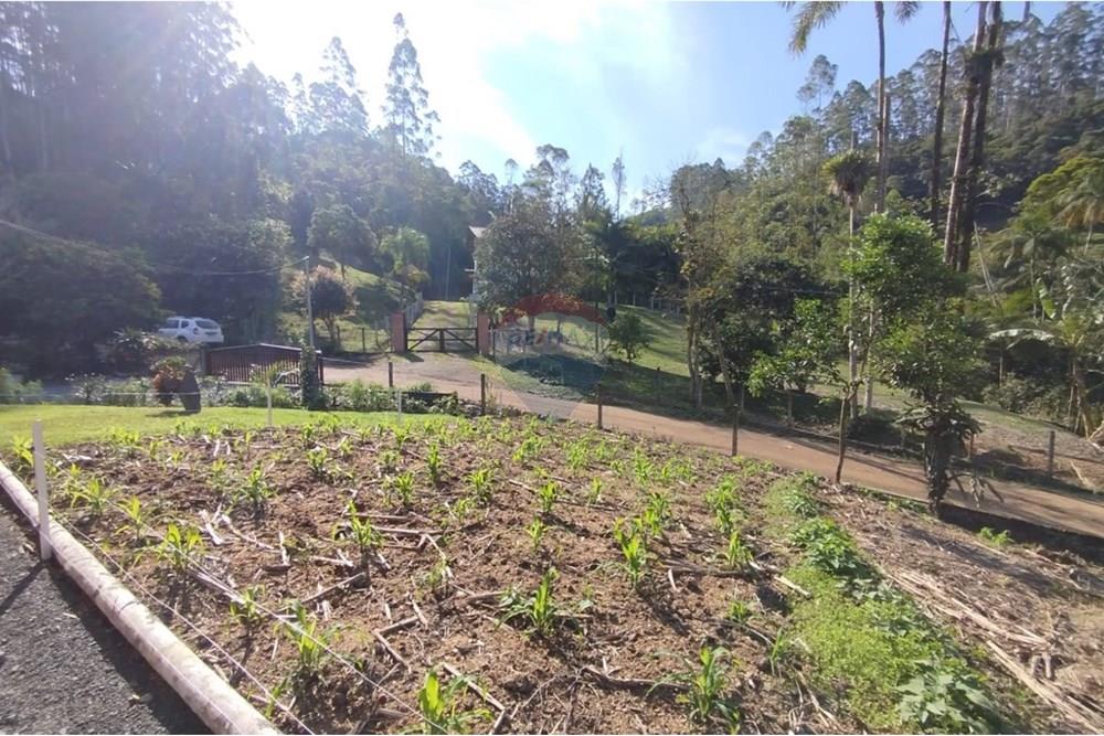 Chácara / Sítio / Fazenda - Venda - Benedito Novo , Santa Catarina - WhatsApp Image 2025-09-17 at 12.15.19.jpeg - 590301034-20