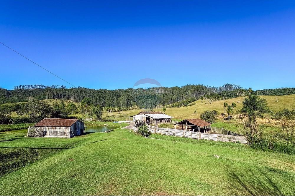 Chácara / Sítio / Fazenda - Venda - Doutor Pedrinho , Santa Catarina - 10.jpg - 590211007-102