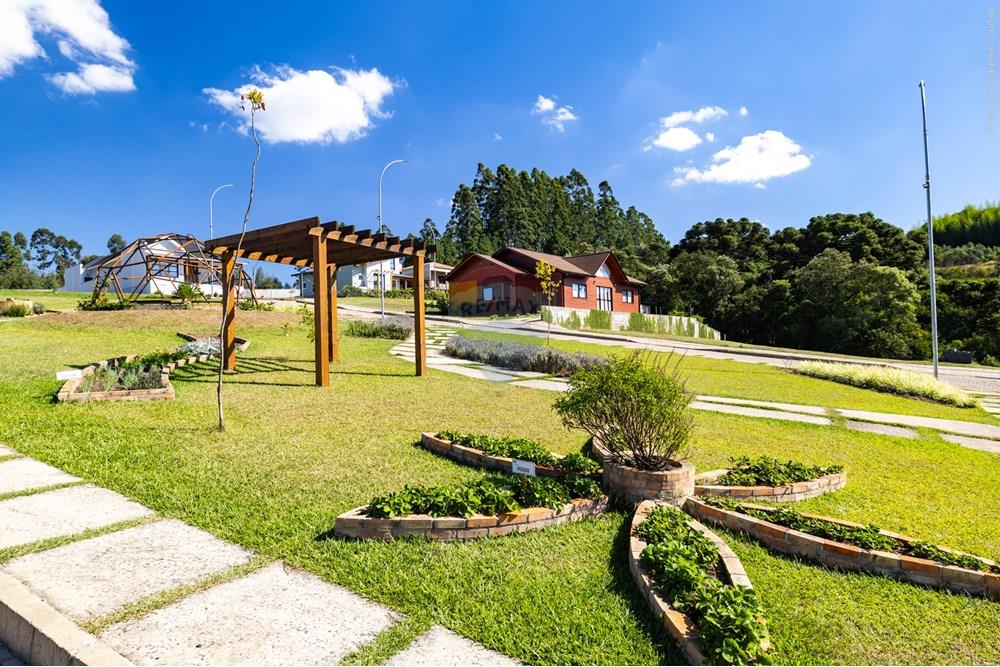 Terreno - Venda - Lages , Santa Catarina - 0029 25-03-21 Casa Vila das Comunmbeas.JPG - 590071002-354