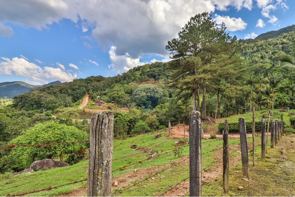 Chácara / Sítio / Fazenda - Venda - Rio dos Cedros , Santa Catarina - feae1469-164a-481a-b5b8-89818b856a57.jpeg - 590211035-78