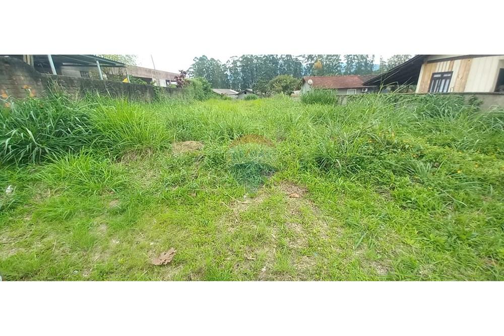 Terreno - Venda - Indaial , Santa Catarina - WhatsApp Image 2025-09-04 at 18.13.31 (1).jpeg - 590211033-67