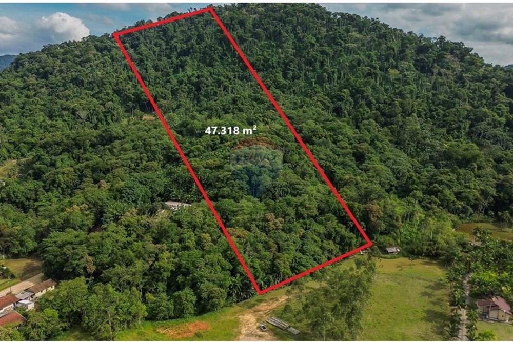 Terreno - Venda - Timbó , Santa Catarina - WhatsApp Image 2025-04-24 at 14.03.52 (1).jpeg - 590211046-8