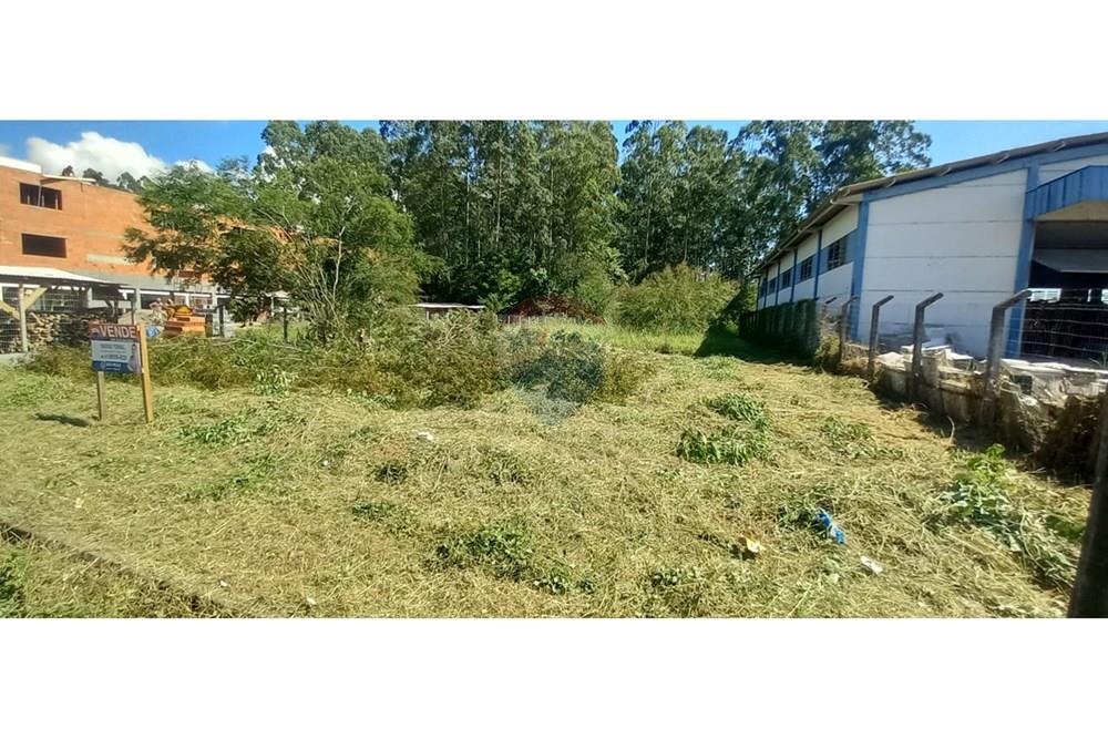 Terreno - Venda - Timbó , Santa Catarina - WhatsApp Image 2025-03-20 at 13.39.19 (2).jpeg - 590211033-46