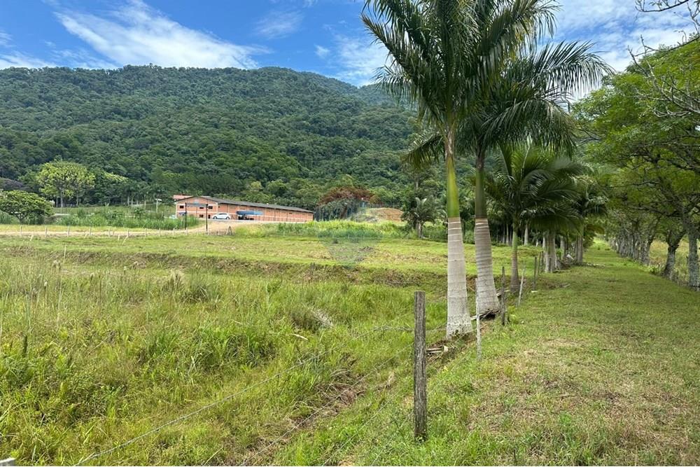 Terreno - Venda - Indaial , Santa Catarina - 7cefaff6-a42f-47bc-b274-bba6d3839504.jpeg - 590301007-66