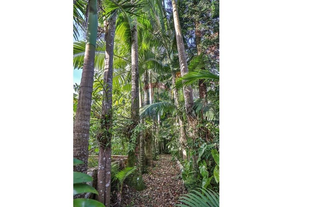 Casa - Venda - Indaial , Santa Catarina - WhatsApp Image 2025-07-22 at 20.14.10 (1).jpeg - 590211048-27