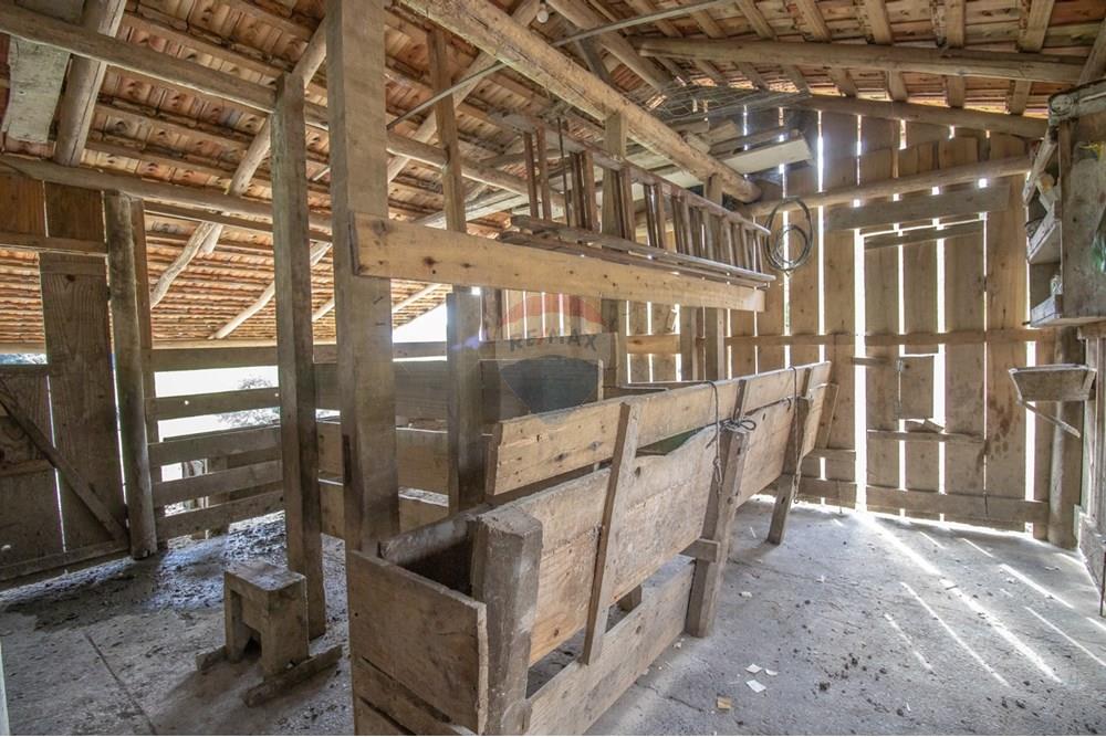 Chácara / Sítio / Fazenda - Venda - Petrolândia , Santa Catarina - WhatsApp Image 2025-02-26 at 16.59.27 (21).jpeg - 590211017-125