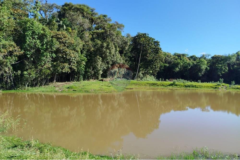 Chácara / Sítio / Fazenda - Venda - Benedito Novo , Santa Catarina - IMG-20241028-WA0390.jpg - 590301027-92