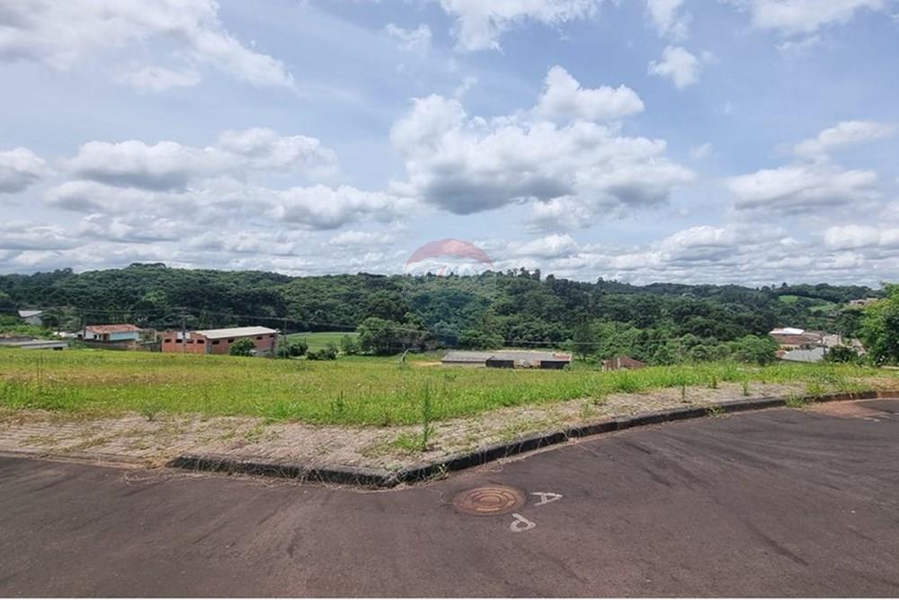 Terreno - Venda - Campo Largo , Paraná - 33a47ed0-e48a-4452-a5ca-73ed5b1b625a (2).JPG - 590481021-29