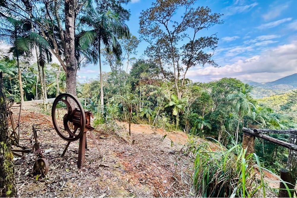 Chácara / Sítio / Fazenda - Venda - Itapema , Santa Catarina - WhatsApp Image 2025-07-14 at 16.25.28.jpeg - 590401053-3