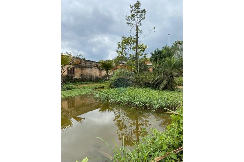 Chácara / Sítio / Fazenda - Venda - Jaraguá do Sul , Santa Catarina - WhatsApp Image 2025-09-16 at 09.24.50 (1).jpeg - 590451031-26