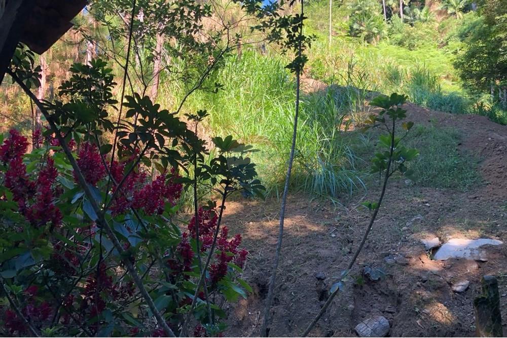 Chácara / Sítio / Fazenda - Venda - Timbó , Santa Catarina - FOTO 05 - .JPG - 590211051-38