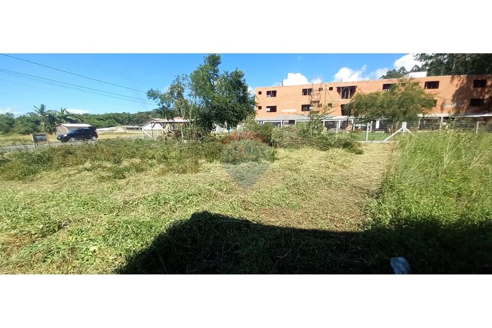 Terreno - Venda - Timbó , Santa Catarina - WhatsApp Image 2025-03-20 at 13.39.26.jpeg - 590211033-46