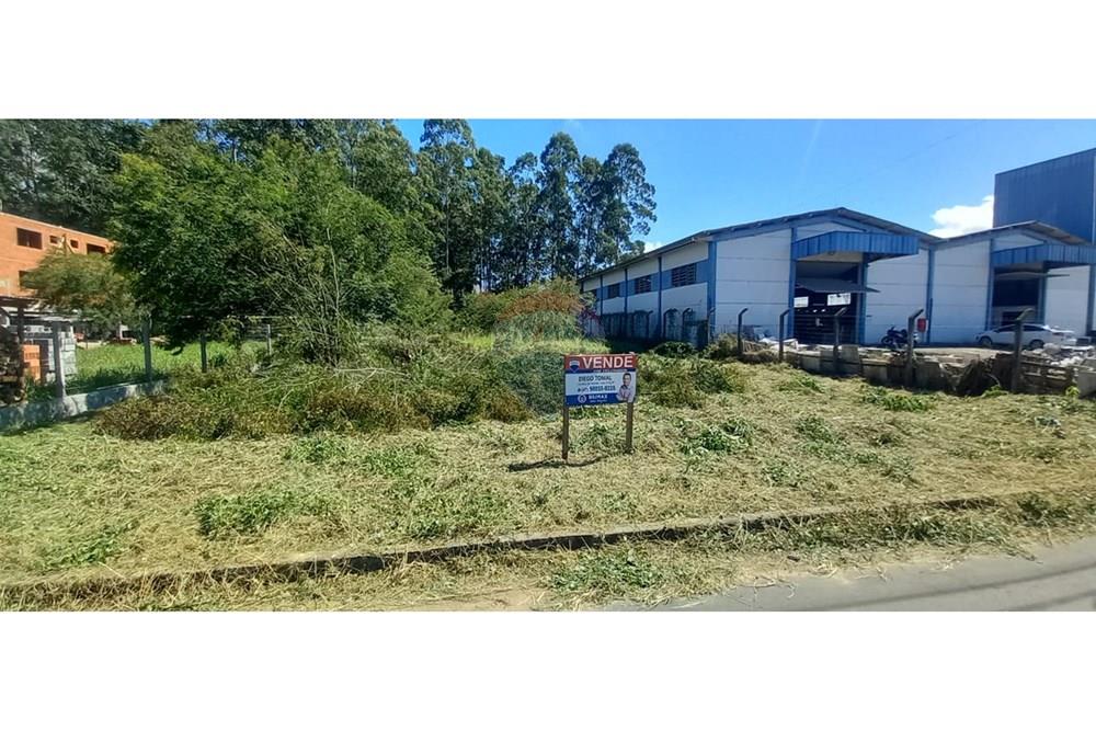 Terreno - Venda - Timbó , Santa Catarina - WhatsApp Image 2025-03-20 at 13.39.17.jpeg - 590211033-46