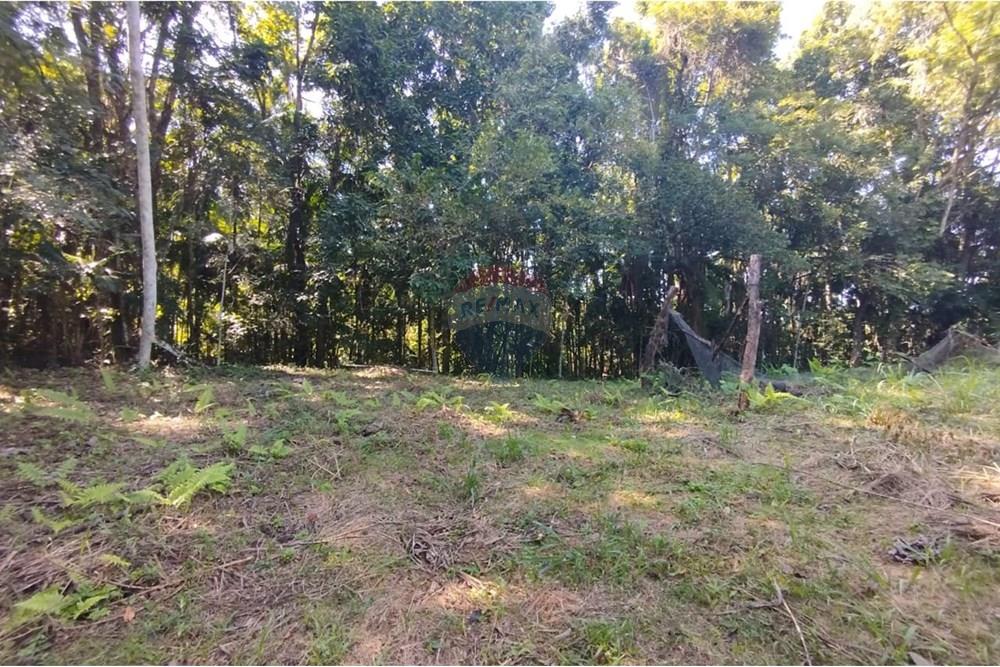 Chácara / Sítio / Fazenda - Venda - Indaial , Santa Catarina - WhatsApp Image 2025-04-23 at 14.49.30.jpeg - 590301044-30